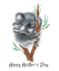 Happy Mother's day. Watercolor cute animal mom with baby. Hand painting postcard with koalas isolated white background. Australian animals. 