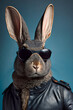 Ein cooler Hase mit Lederjacke und Sonnenbrille zeigt Attitude und Style in einem Portrait