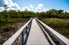 Boardwalk On West Lake In Everglades National Park, Florida Recently Reopened After Extensive Repairs Following Hurricane Irma Damage, At Sunrise.