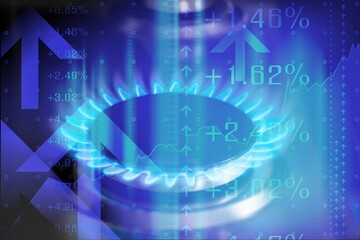 Poster - Natural blue gas burners with graph and charts