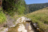Fototapeta Pomosty - mountain river- sources , beginning of autumn panoramic view , tourist routes and recreation in the mountains.*