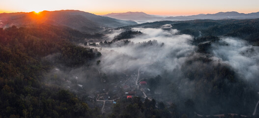 Wall Mural - fog and morning light