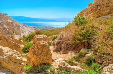 Wall Mural - The rocks of Ein Gedi, Israel.