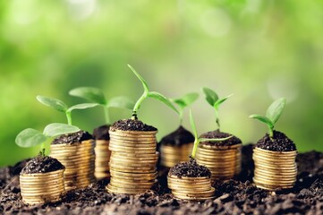 Money gold coins with green plants in soil