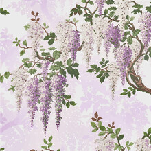 Wisteria Lilac Pretty Bright Floral And Botanical Chinoiserie And Oriental Bold Vintage Traditional Flower Design Pattern Vector
