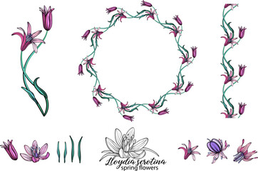 Wall Mural - set of pink flowers. Wreath. Bouquet. Spring flowers