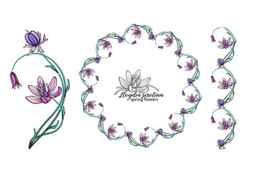 Wall Mural - set of pink flowers. Wreath. Bouquet. Spring flowers spring