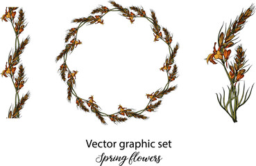 Wall Mural - Vector flowers, buds. Botanical illustration. Spring flowers