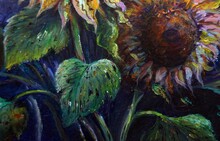 Art Oil Painting   Sunflower  Background From Thailand