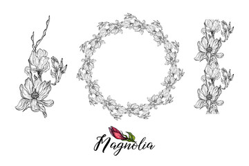 Wall Mural - Set of vector flower arrangements with Magnolia flowers. Delicate romantic graphic magnolias.