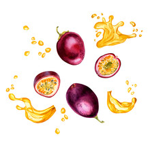 Purple Passion Fruits And Splash Juice Watercolor Illustration Isolated On White Background. Piece Of Maracuja Hand Drawn. Design For Packaging, Menu, Recipe, Smoothies, Ice-cream, Label, Tableware.