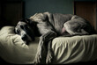 Beautiful grey Great Dane sleeping on a bed, generative AI, digital art