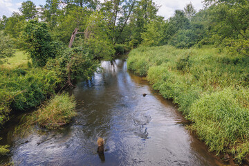 Poster - Rawka River in Puszcza Bolimowska - Bolimow Forest - forest complex on the edge of Masovia and Lodz Province of Poland