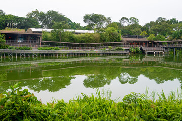 Night Safari Singapore is the world's first nocturnal zoo, houses over 2,500 animals, of which 38% are threatened species. it start operates by the evening till late night