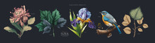 Vector Illustrations Of Flower, Plant, Floral Pattern, Leaves, Bird, Iris For Greeting Card, Flyer Or Frame