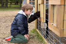 Young Boy Kissing A Black And White Goat 