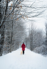 Woman In Red Coat Walking With Dog On Snowy Wooded Trail In Winter.