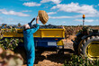 © Ezequiel Giménez/Stocksy - Man harvesting black grapes and pouring into trailer