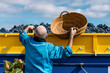 © Ezequiel Giménez/Stocksy - Anonymous aged farmer collecting grapes in countryside