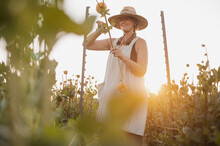 Woman In A Summer Dress And Hat Harvests Flowers In A Field.