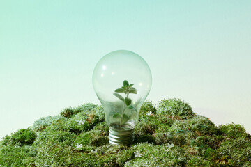 Renewable energy concept Earth Day or environment protection 