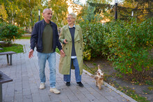 An Adult Couple Walks With Dogs
