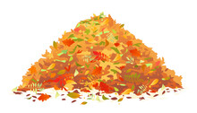 Pile Of Various Autumn Fallen Leaves In Red And Orange Colors, One Big Dump Of Leaves, Autumn Concept Illustration, Isolated