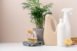 Set of eco-friendly cleaning tools on beige background with green plant. Concept of spring cleaning services with copy space