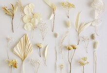 Set With Beautiful Dry Flowers, Grass, Leaves Pattern On Light Beige Background. Botanical Poster