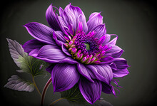 Light Purple Flower On A Dark Background