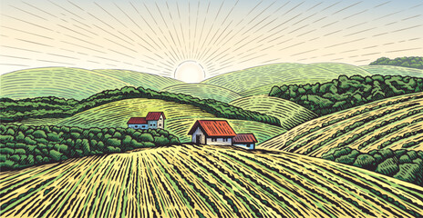 Wall Mural - Rural landscape with the village and  agricultural fields,  with hills drawing in graphic style. Vector Illustration.