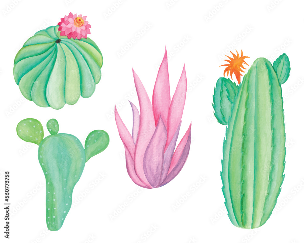 Watercolor cactus Clipart Set, Hand Drawn Cactus in Pot Watercolor ...