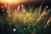  A Close Up Of Grass With Dew Drops On It And The Sun In The Background With A Blurry Background Of Grass And Water Droplets On The Grass, With A Bit Of Dew On The.  Generative