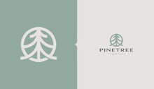 Pine Tree Monoline Logo Template. Universal Creative Premium Symbol. Vector Illustration