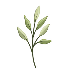  leaf design vector