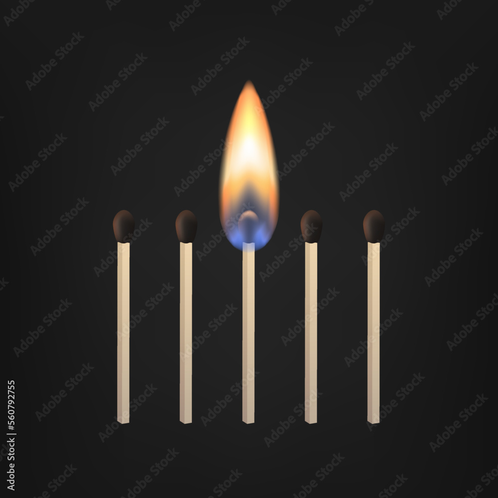 Image vectorielle Stock Lit match stick burning with fire flame ...