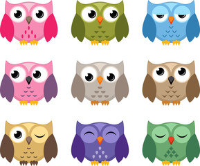 Wall Mural - vector colorful owl icons