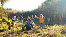 Little Caucasian Cute Boy Helping Her Father To Plant Tree In Forest Or Garden On Sunny Fall Day. Outdoors. Man With Small Daughter Planting Seedling In Wood Or Park. Environment Activism.