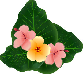 Sticker - Jungle flower on green leaf. Tropical nature element