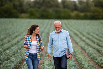 Poster - Farmer woman and senior businessman talking in cabbage field