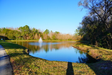 Poster - The colorful winter leaf and pond landscape in Florida