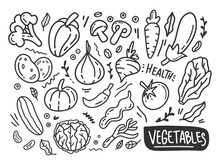 Various Kinds Of Doodle Vegetables
