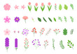 Vector illustration of flowers and leaves.
