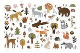Fototapeta Fototapety na ścianę do pokoju dziecięcego - Set of cute forest animals and scandinavian forest elements isolated on white background. Vector illustration for your design