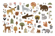 Set Of Cute Forest Animals And Scandinavian Forest Elements Isolated On White Background. Vector Illustration For Your Design