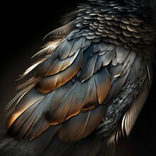 Master Creation Birds With Fantastically Beautiful Feathers