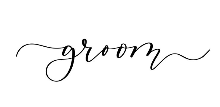 Groom. Wedding reception hand-written brush calligraphy on transparent background
