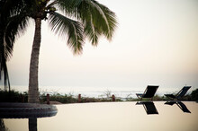 A Coconut Palm And Empty Chairs Reflect In A Beachfront Infinity Pool In Mexico.