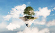 Floating island with green grass and tree on sky with clouds