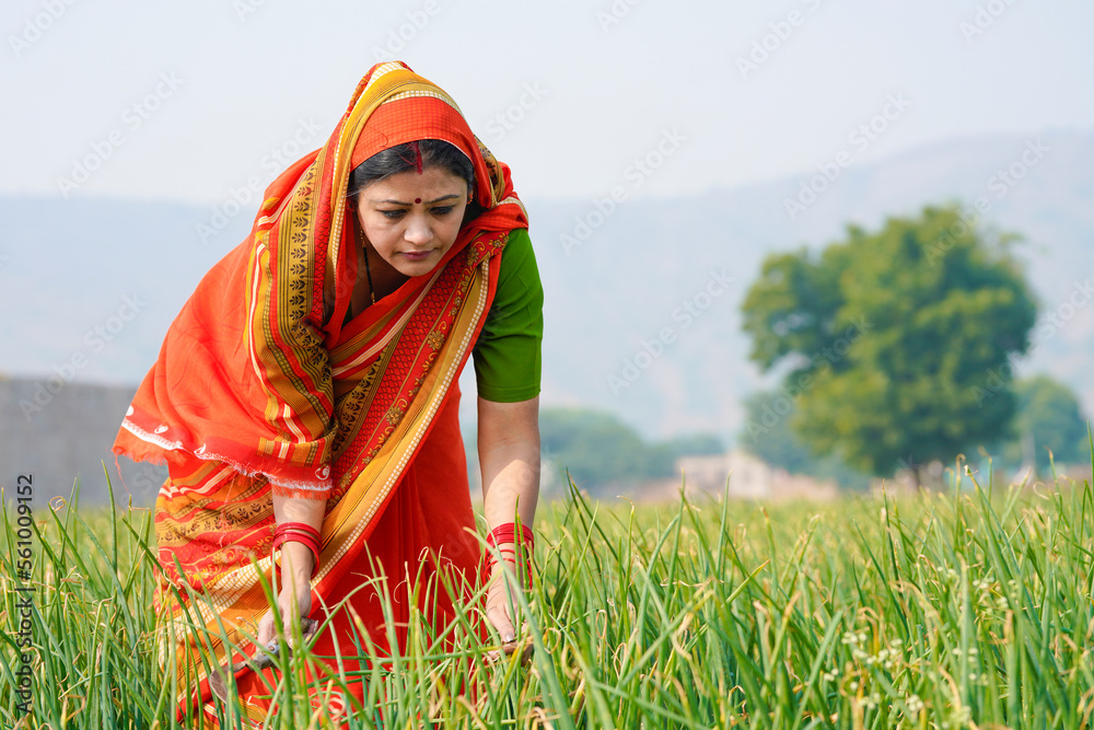 Indian rural woman working at agriculture field. Stock Photo | Adobe Stock